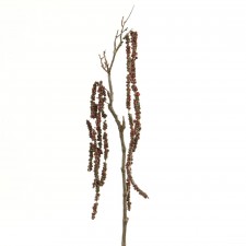 31"AMARANTHUS SPRAY A25