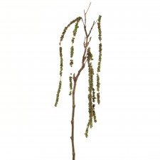 31"AMARANTHUS SPRAY GRN A25