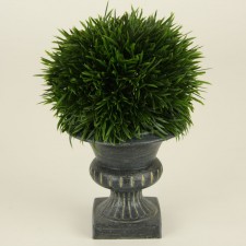 9" PODOCARPUS BALL TOPIARY