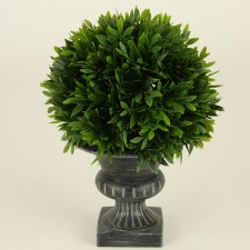 9" PODOCARPUS BALL TOPIARY