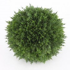 7"CEDAR BALL X236LVS
