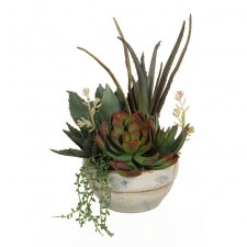 14.5" ALOE ECHEVERIA