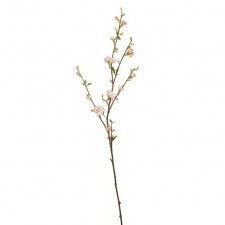 40" AMERICA QUINCE X3 PINK