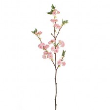45" CHERRY BLOSSOM SPRAY LT.P