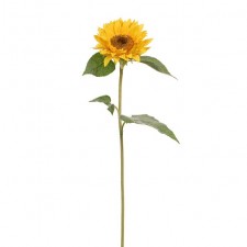 25" SUNFLOWER W/5LVS