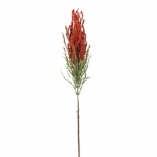 ASTER SPRAY RED A4 B12