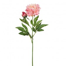 28" PEONY X2 PINK