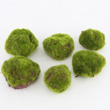 3-4.5"ARTIFICIAL MOSS 6PC/BG