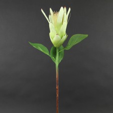 32" PROTEA SPRAY GRN A25