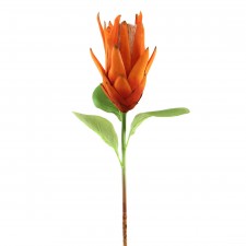 32" PROTEA SPRAY ORANGE A4