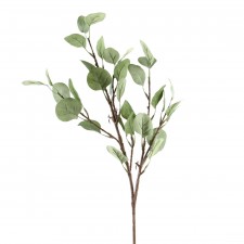 26"SILVER DOLLAR EUCALYPTUS