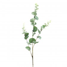 33"EUCALYPTUS BRANCH X3