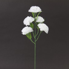 CARNATION SPRAY X5 WHITE