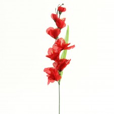 23.5"MED.GLADIOLA RED A4