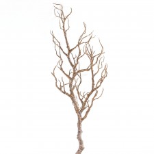 44"MANZANITA BRANCH