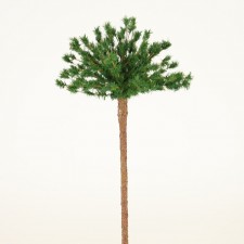 16"GOOSEFEATHER TOPIARY A25
