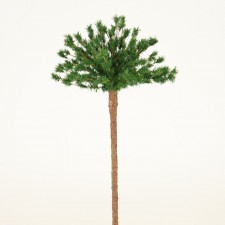 16" GOOSEFEATHER TOPIARY