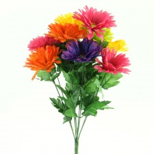 GERBER DAISY BUSH X10