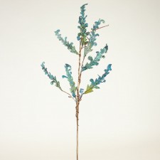 32"ACANTHUS LF SEAGROVE SPRAY