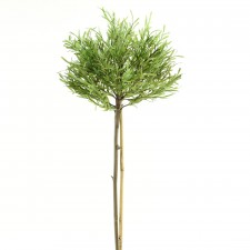 38" ROSEMARY TOPIARY