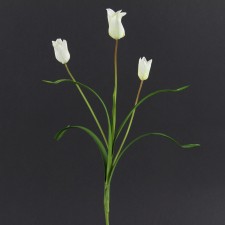 16" MINI CLUSTER TULIP X3