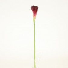 26"SM CALLA LILY STEM BURGUNDY