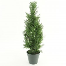 30" CEDAR TOPPIARY W/POT