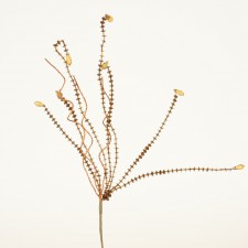 15" DIAMOND BEAD PICK CHOCO