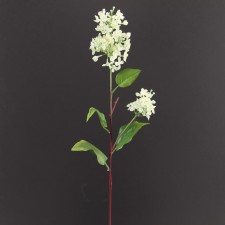26" LILAC STEM CREAM/WHT