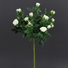 21.5" ROSE TOPIARY CREAM/WHT