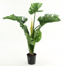 31"SPLIT PHILO LEAF POTTED