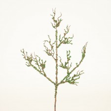 18" BEADED CORAL BRANCH