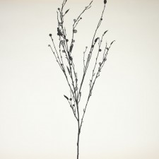 42" PEARL BERRY SPRAY BLACK