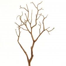 27" MANZINITA FAUX BRANCH
