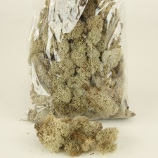 4OZ REINDEER MOSS NATURAL