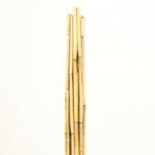 3 1/2' RIVER CANE NATURAL