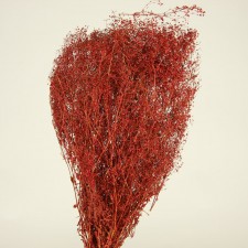 24-28" SPARKLE GYP RED