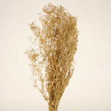 24-28" SPARKLE GYP GOLD