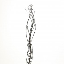 48"GROOVY GLITTER WILLOW BLK\