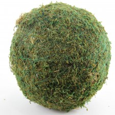 12"LG MOSS BALL GREEN