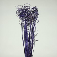 SPARKLE CURLY TING BRLLT.PURPL
