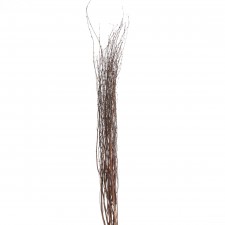 3-4'BIRCH BRANCH 10/PKG NAT