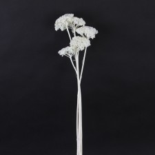 YARROW BLEACH 5/PKG