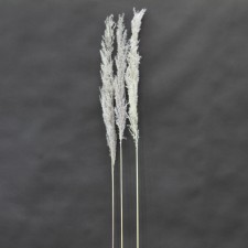 48"FEATHER GRASS 3/PKG WHITE