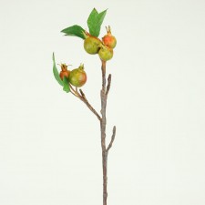 26.5" POMEGRANATE BR.GRN/RED