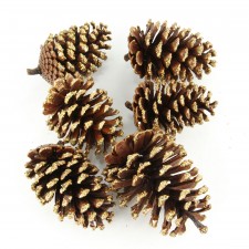 4.5"PINECONE 6PC/PKG