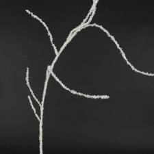 42" CURLEY WILLOW DIAM.BRANCH