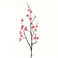 34" PLUM BLOSSOM BEAUTY