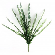 36" BOSTON FERN BUSH X19  A4