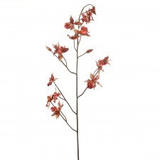 42"CYMBIDIUM ORANGE A4 B11